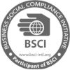 BSCI